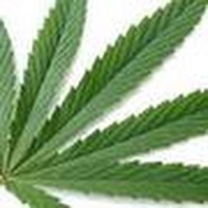 Meet your Posher, Dion